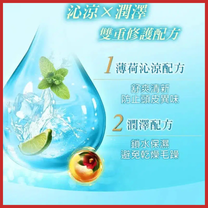 Shiseido Tsubaki Premium Cool & Repair Shampoo & Conditioner Set 450ml x2